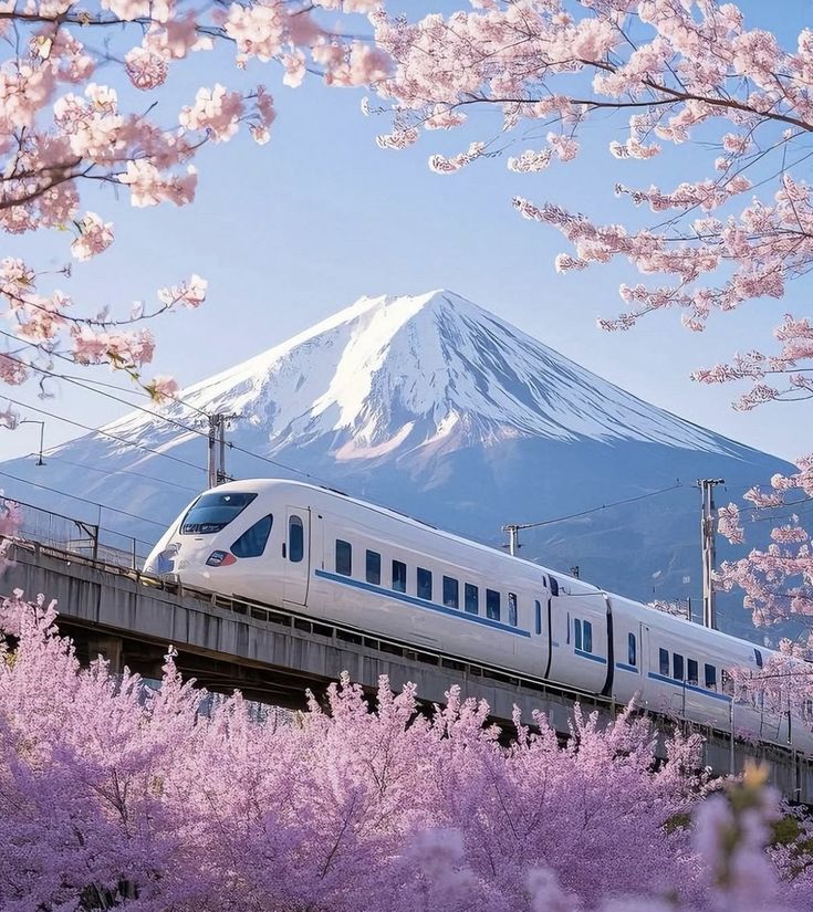 Japan – Land of Contrasts